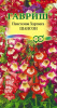 Пенстемон Хартвига Шансон GSH 0,1г (Мн)®