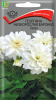 Георгина Барокко Белая низк. ПОИСК 0,1г (Одн)®