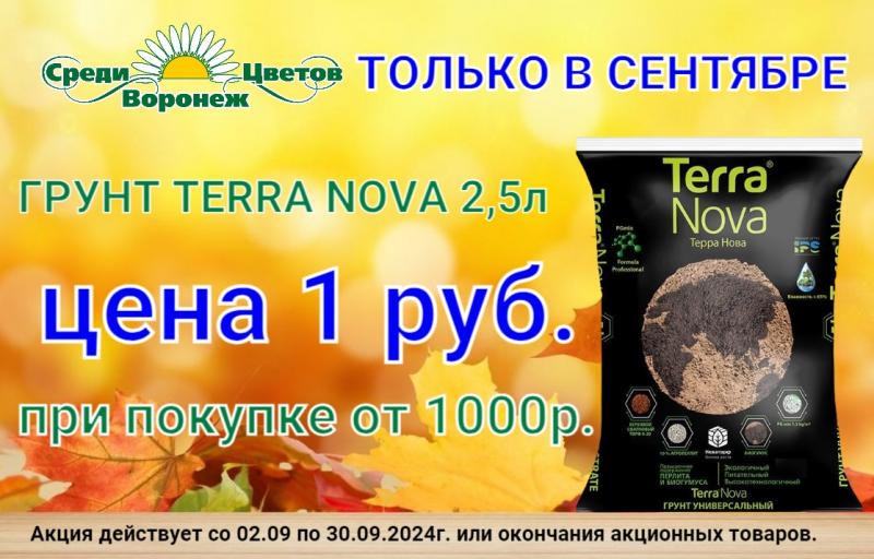 ГРУНТ TERRA NOVA за 1 руб.