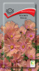 Космея Иллюзия ПОИСК 10шт (Одн)®