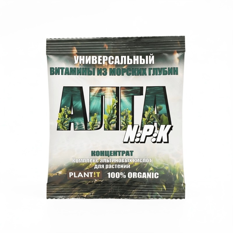 В продажу поступила АЛГА