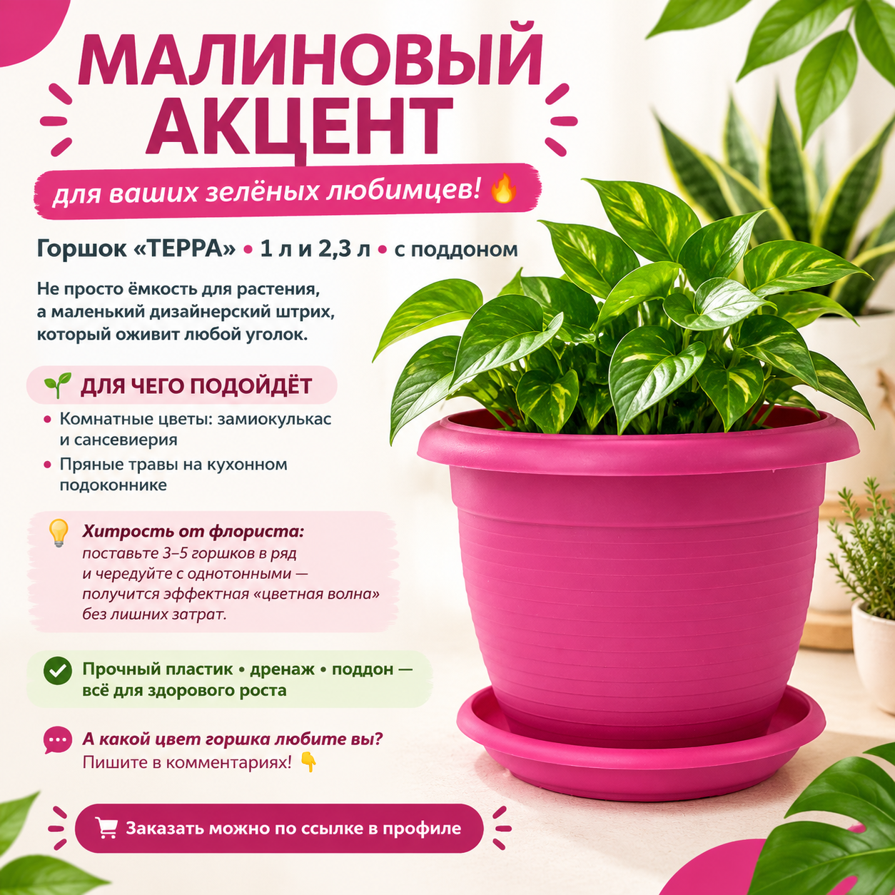МАЛИНОВЫЙ АКЦЕНТ ДЛЯ ВАШИХ ЗЕЛЕНЫХ ПИТОМЦЕВ! МАЛИНОВЫЙ АКЦЕНТ ДЛЯ ВАШИХ ЗЕЛЕНЫХ ПИТОМЦЕВ!