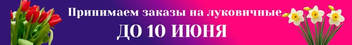 Заказы на луковичные до 10 июля 2026
